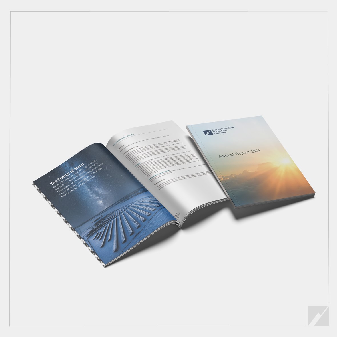 Annual Report 2024